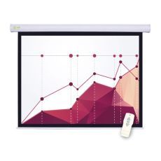 Экран для проектора Cactus Motoscreen CS-PSM-183x244, 244х183 см, 4:3, настенно-потолочный